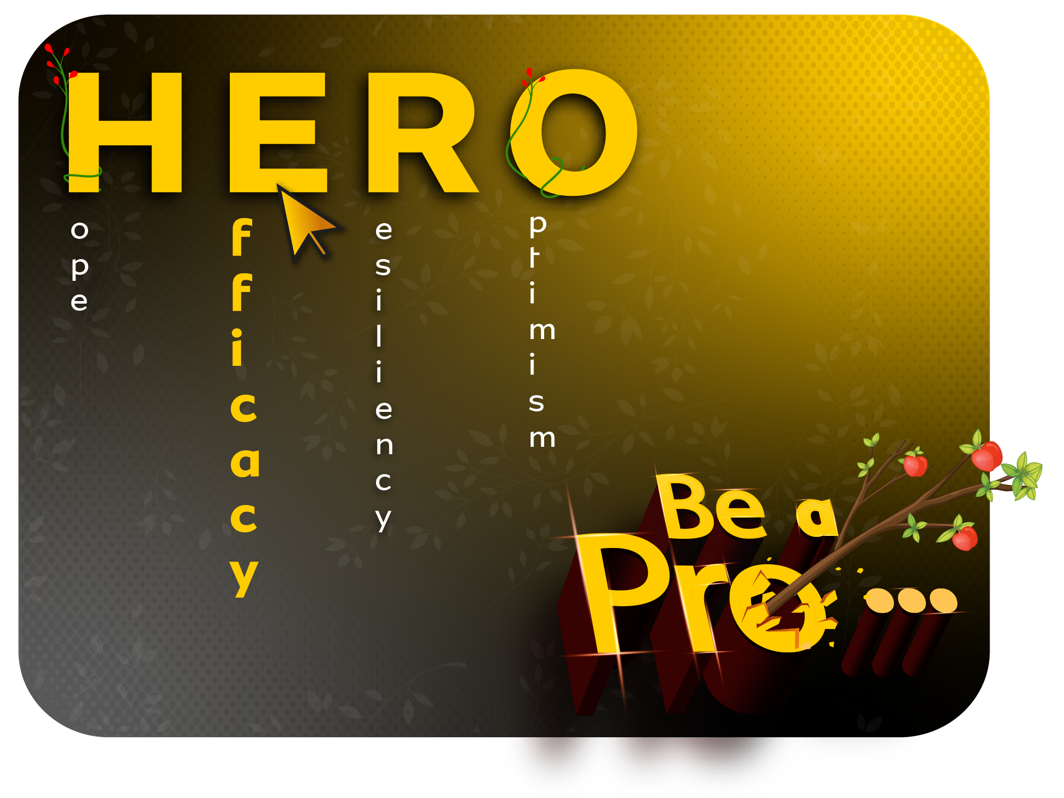 Be a Pro! |HERO-Efficacy
